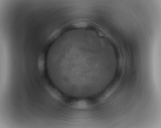 X0000114090600200910131258