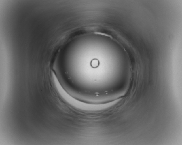 X0000114090601200910131258