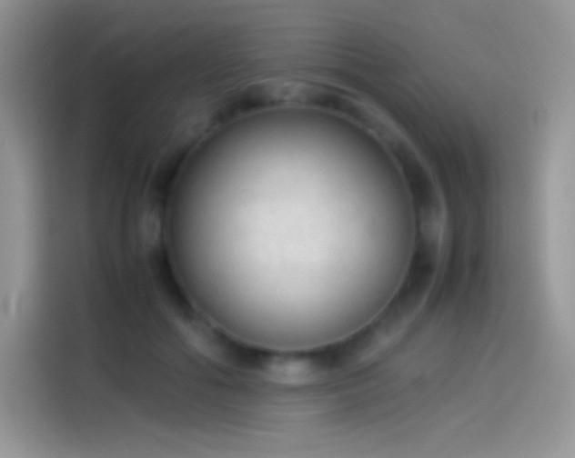 X0000114090602200910131258