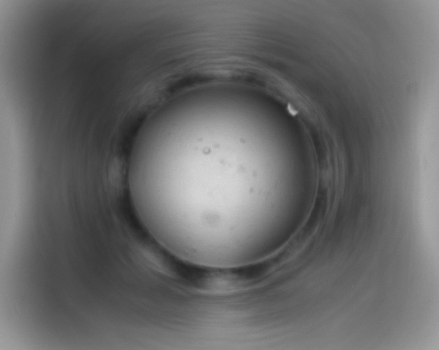 X0000114090605200910131258