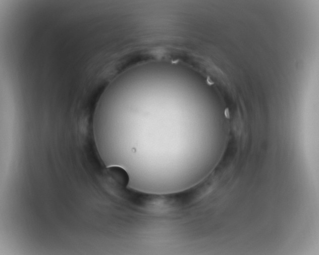 X0000114090611200910131258