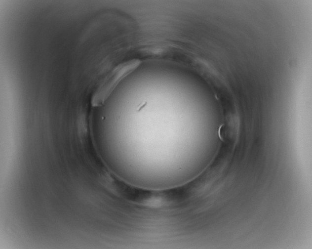 X0000114090612200910131258