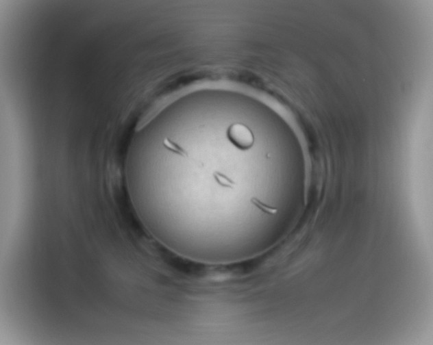 X0000114090613200910131258