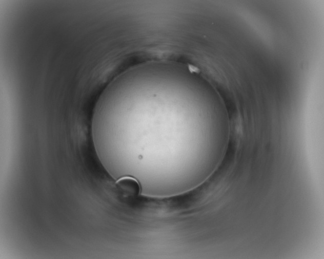 X0000114090615200910131258