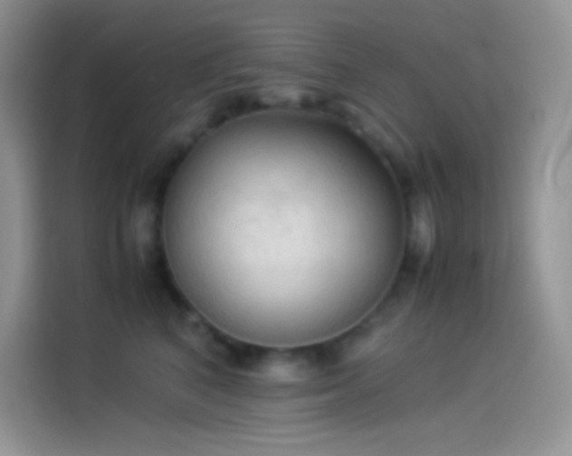 X0000114090616200910131258