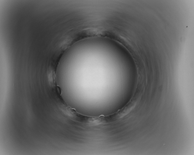 X0000114090624200910131258