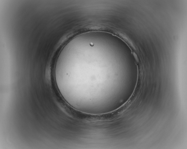 X0000114090626200910131257
