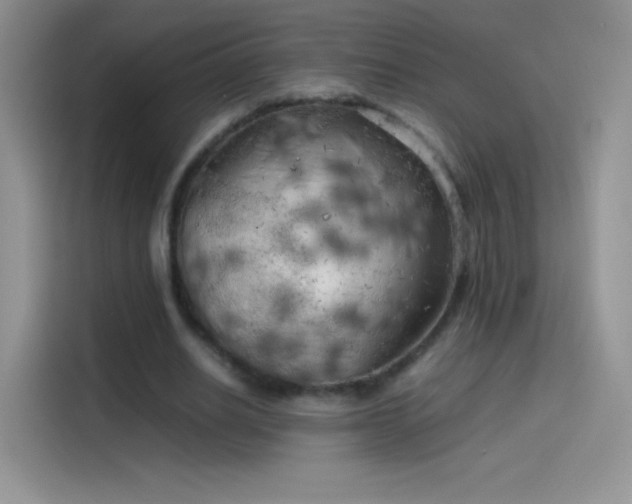X0000114090630200910131257