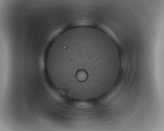 X0000114090635200910131257