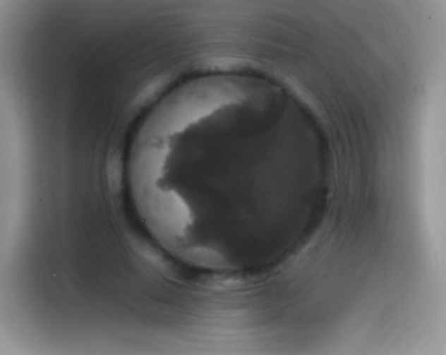 X0000114090640200910131257