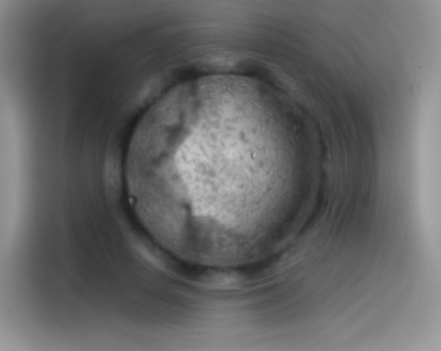 X0000114090642200910131257