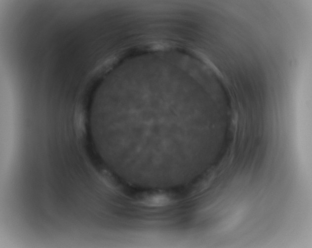 X0000114090643200910131257
