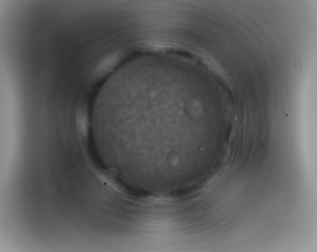 X0000114090644200910131257
