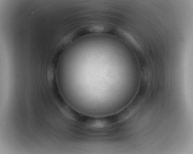 X0000114090645200910131257