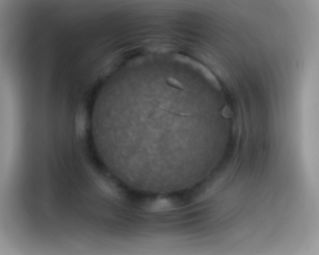 X0000114090647200910131257