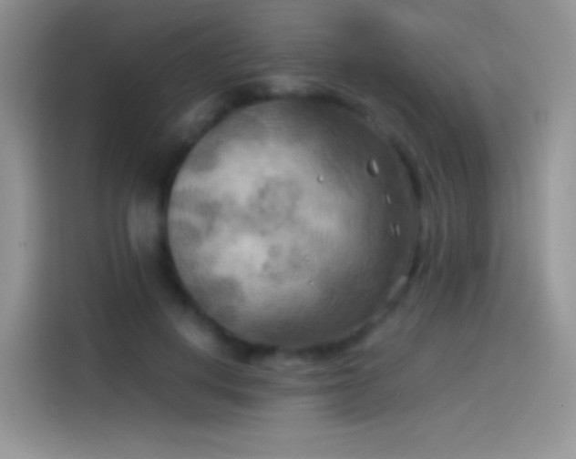 X0000114090648200910131257