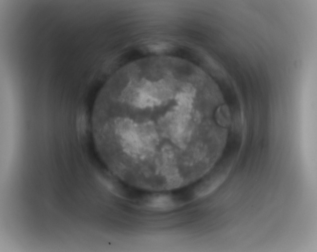 X0000114090651200910131257