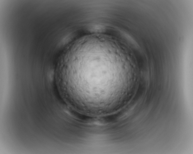 X0000114090652200910131257