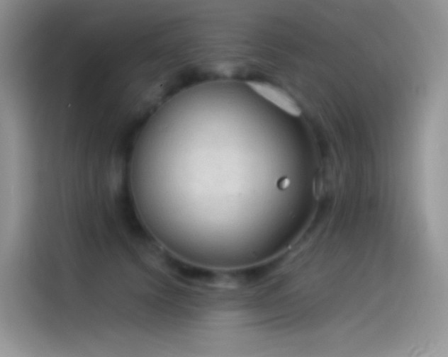 X0000114090656200910131257