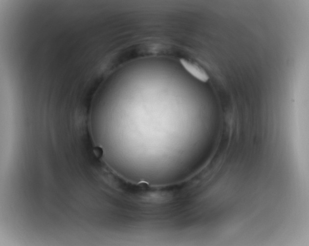 X0000114090657200910131257