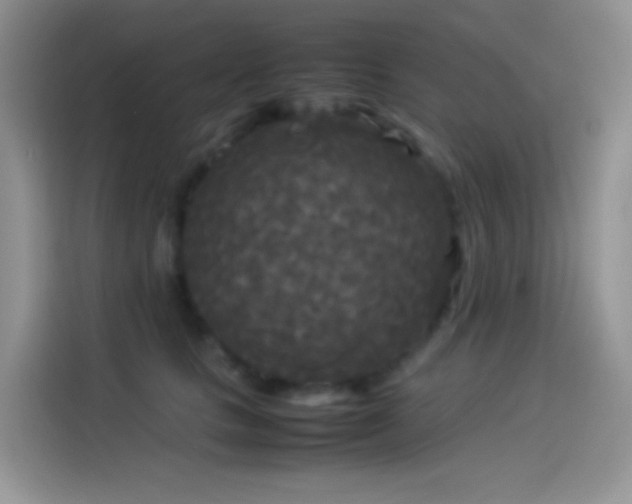 X0000114090661200910131257