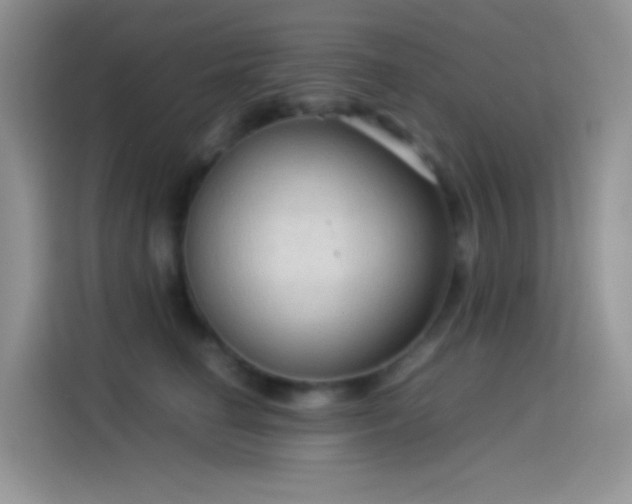 X0000114090662200910131257