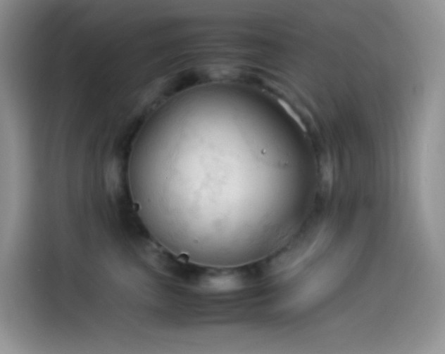 X0000114090667200910131258