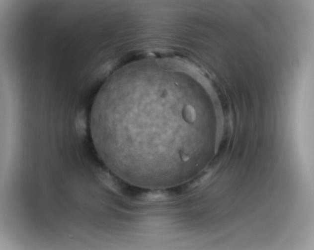 X0000114090668200910131258