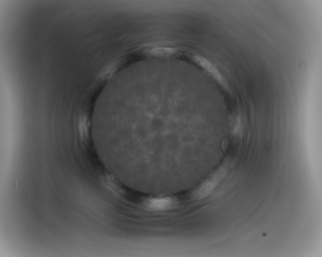 X0000114090669200910131258