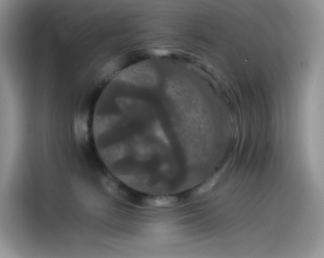 X0000114090670200910131258