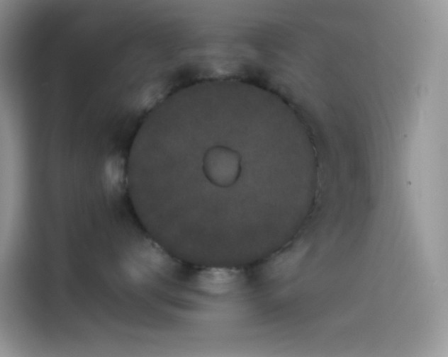 X0000114090672200910131258