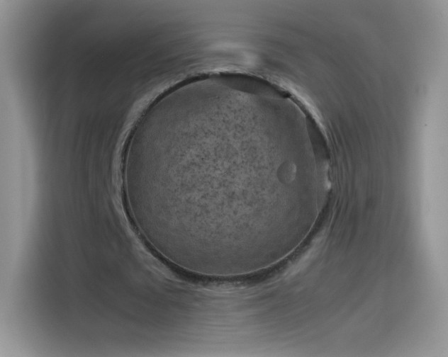 X0000114090673200910131257