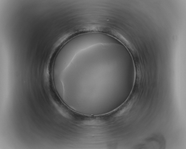X0000114090674200910131257