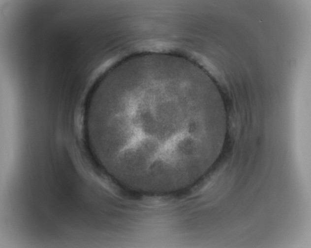 X0000114090679200910131257