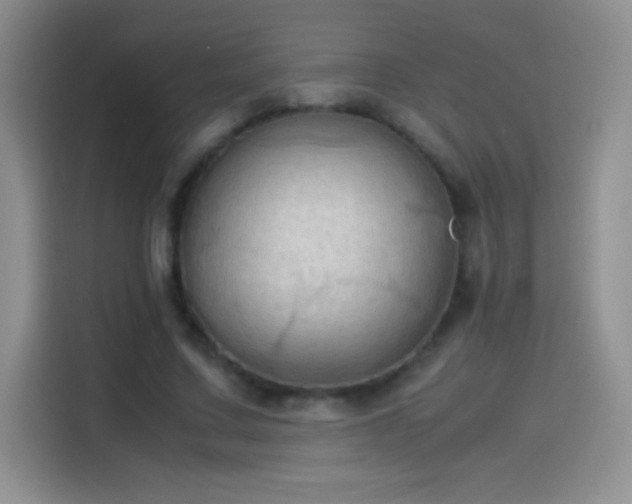 X0000114090683200910131257