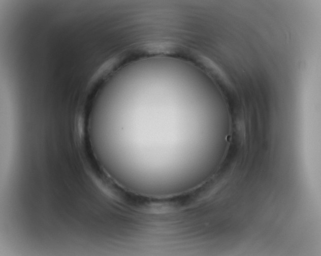 X0000114090686200910131257