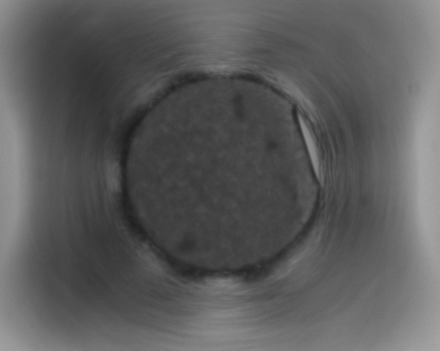 X0000114090689200910131257