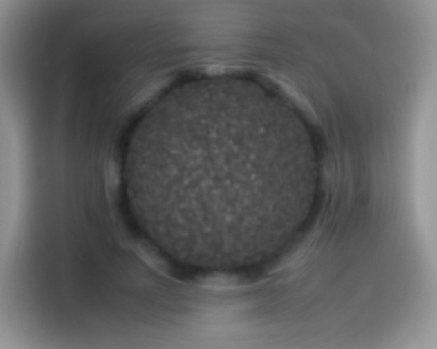 X0000114090691200910131257