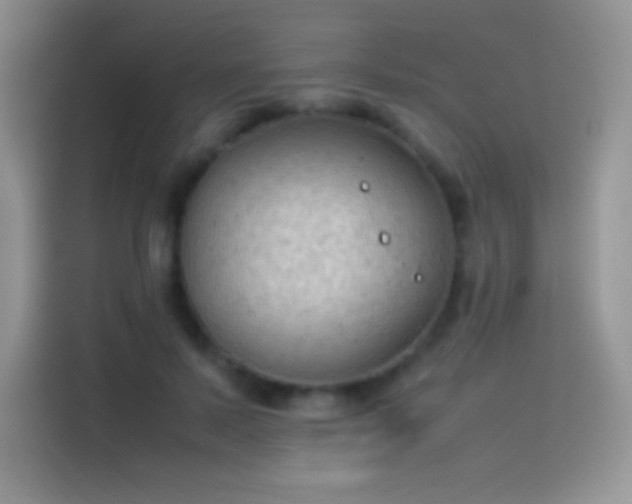 X0000114090695200910131257