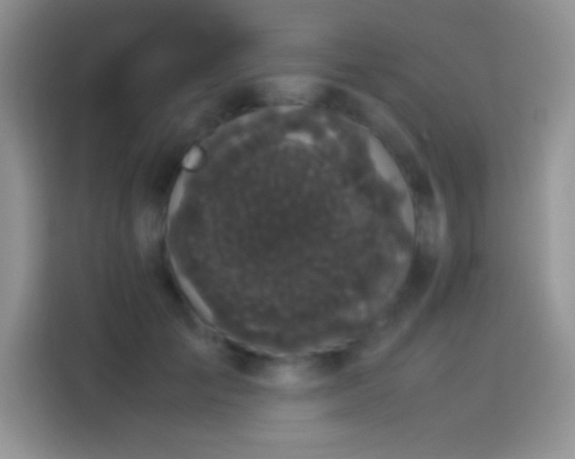 X0000114090701200910131257