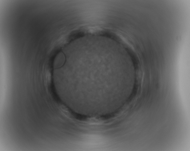 X0000114090703200910131257