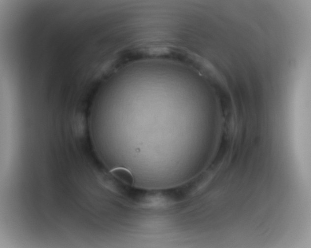 X0000114090704200910131257