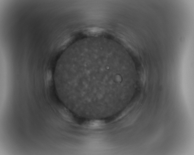 X0000114090711200910131256