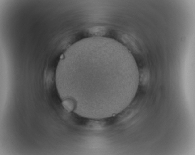 X0000114090713200910131256