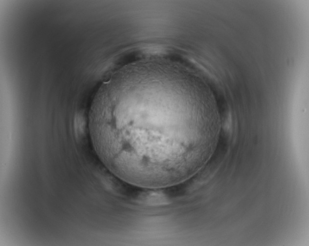 X0000114090715200910131256