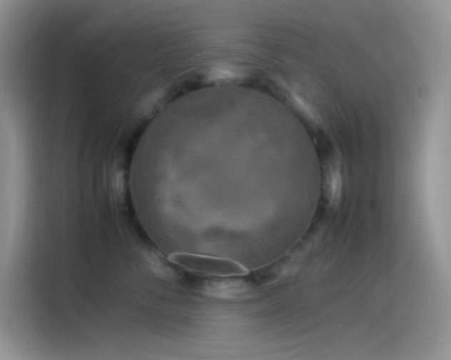X0000114090716200910131256