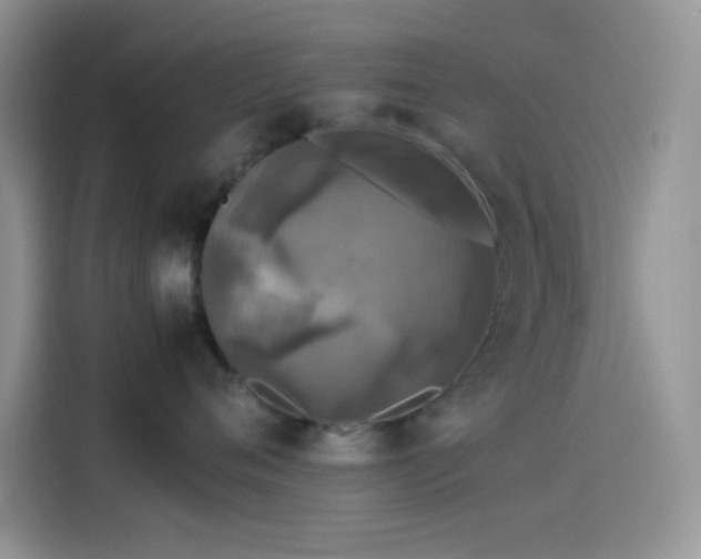 X0000114090720200910131256