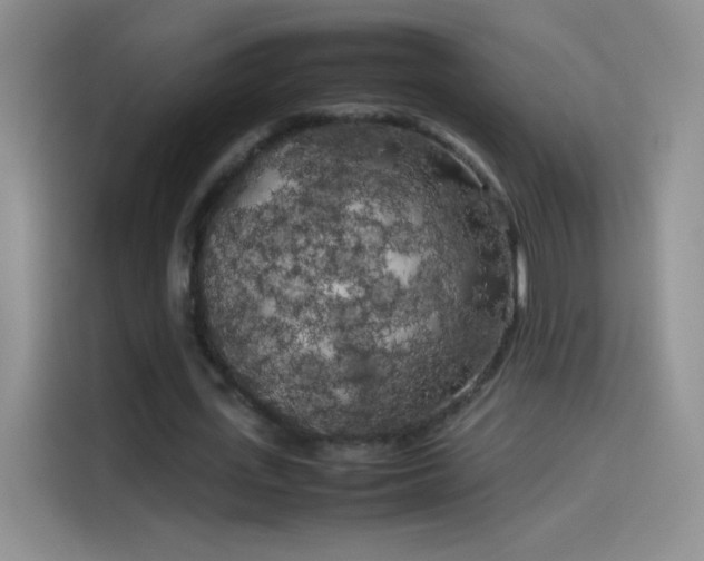 X0000114090723200910131256