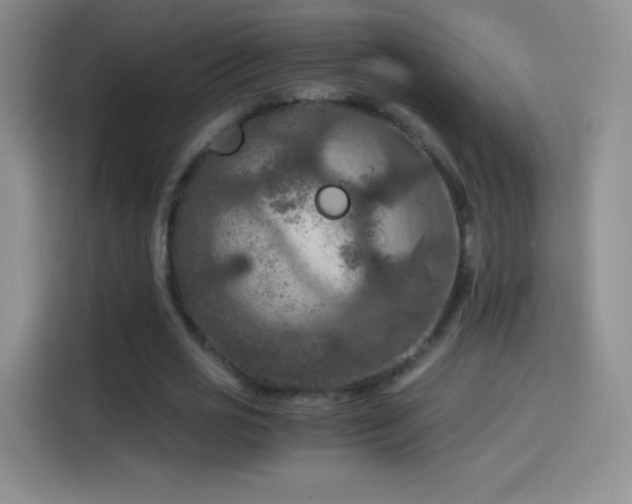 X0000114090725200910131256
