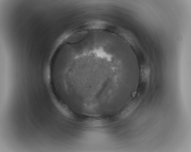 X0000114090726200910131256